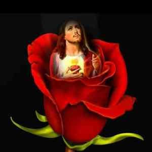 Meet your Posher, Raul